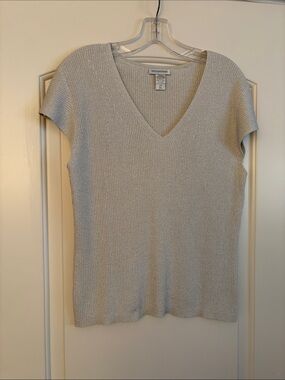 Silver Ribbed V-Neck Short Sleeve Top